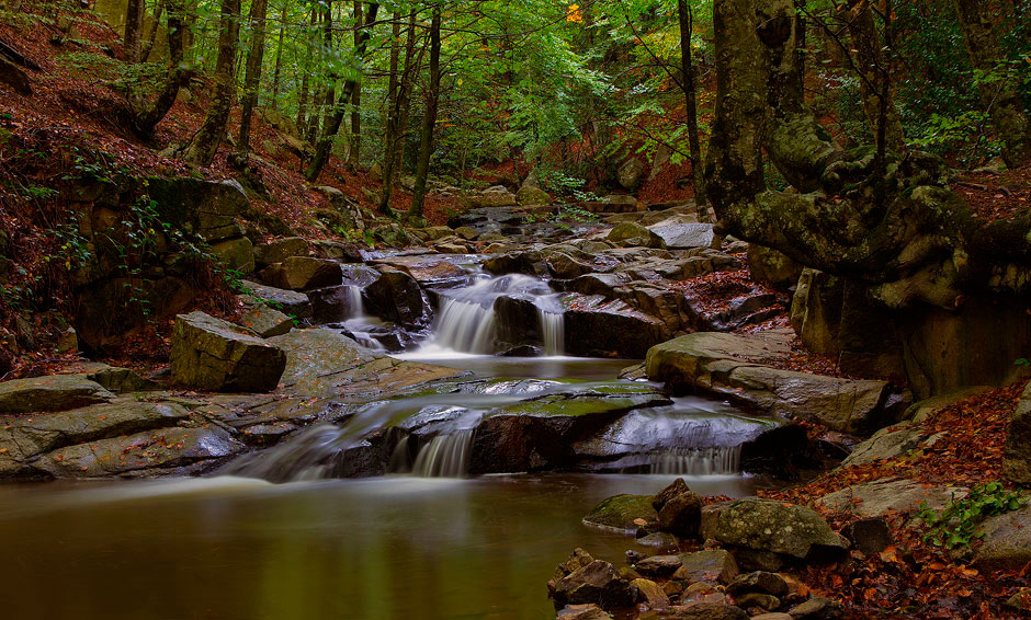 Dones d'aigua del Montseny. Museu Etnològic del Montseny, la Gabella